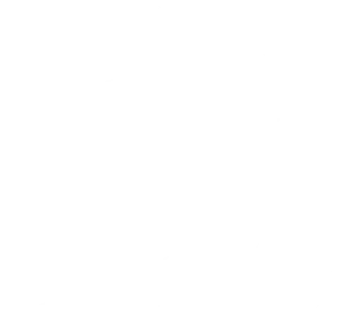 Paid Social Media Advertising And Content Strategy For Business Growth | Sniffer Group