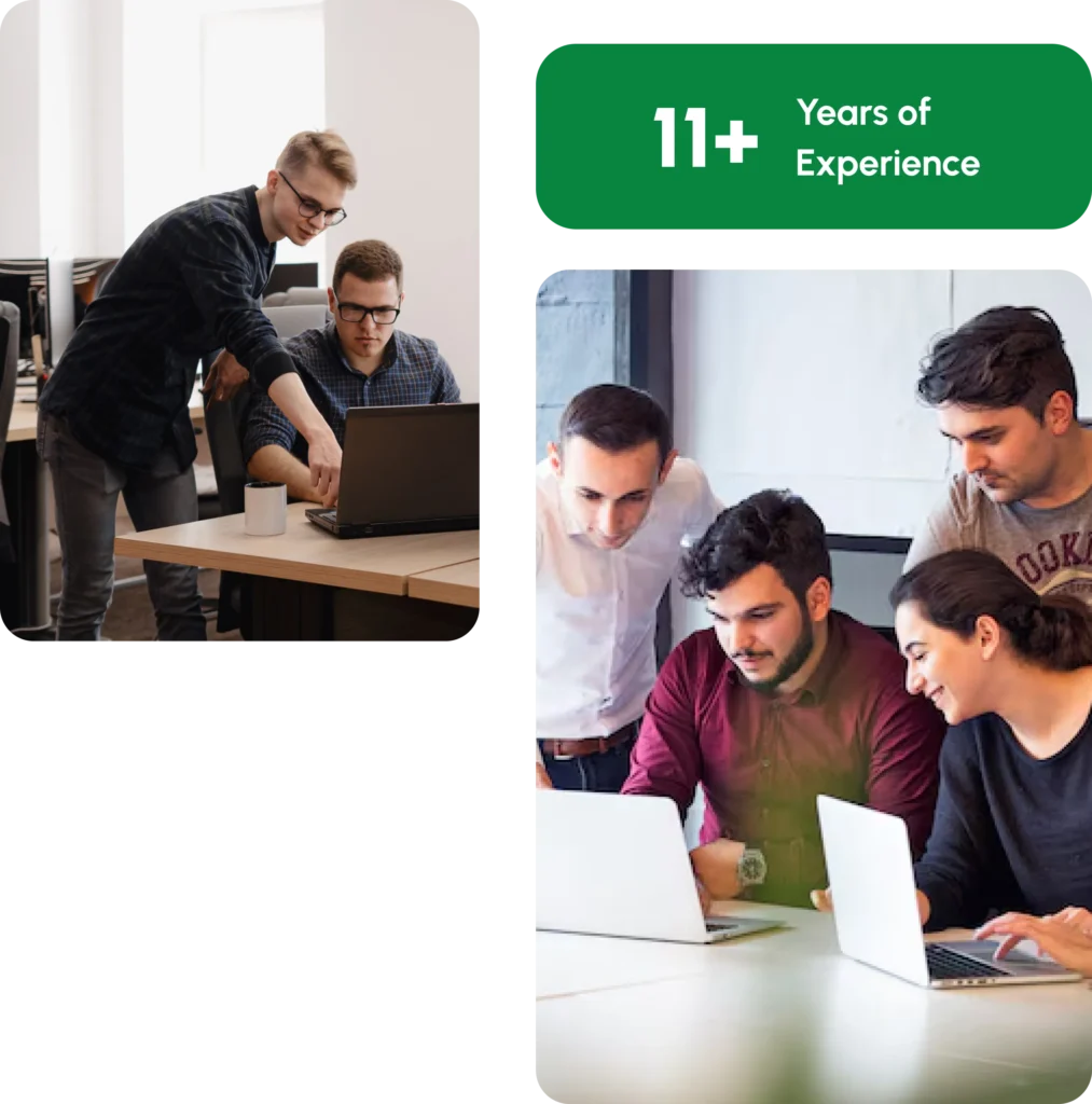 Sniffer Group team providing professional IT, cyber security, and digital solutions